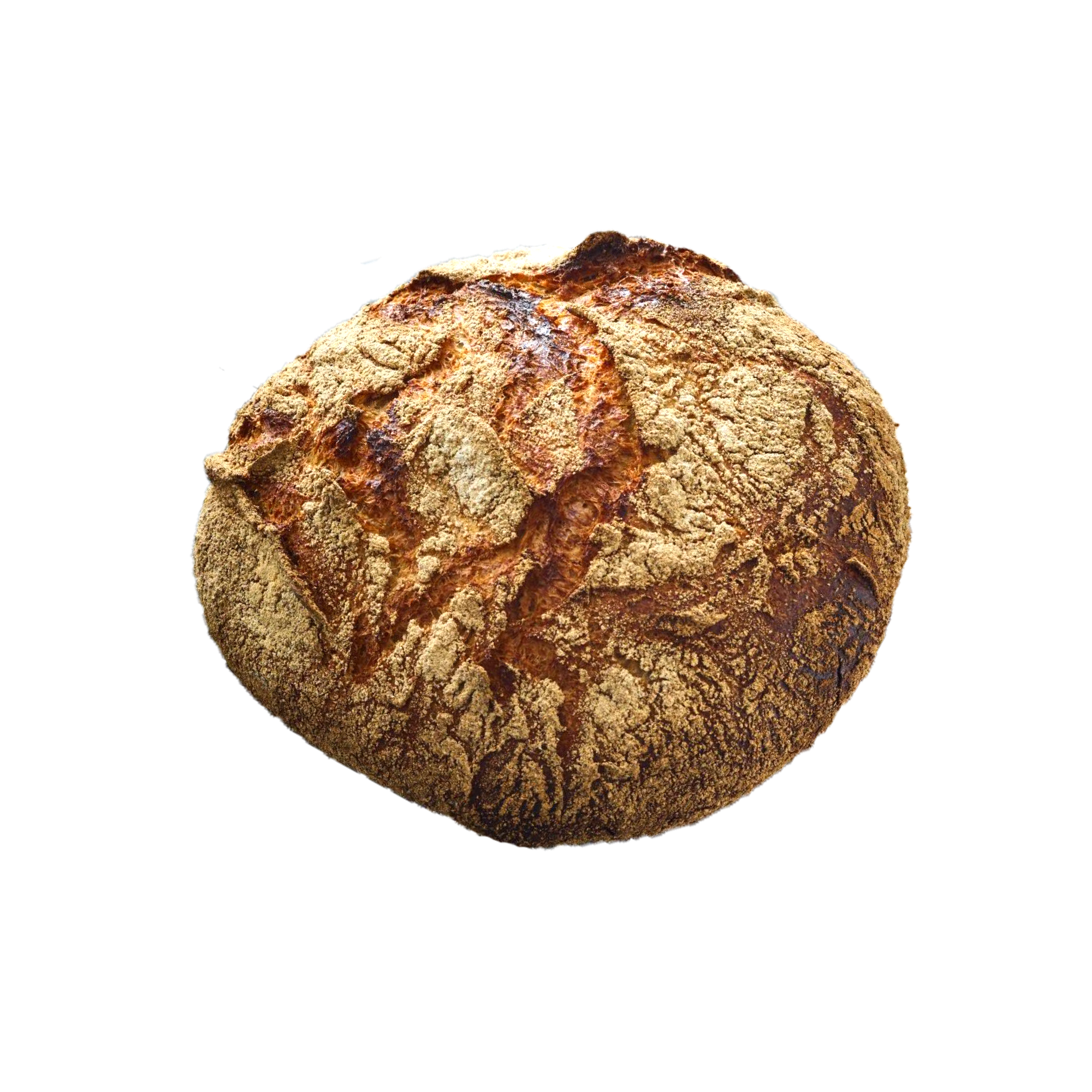 Øko Nørrebro brød
