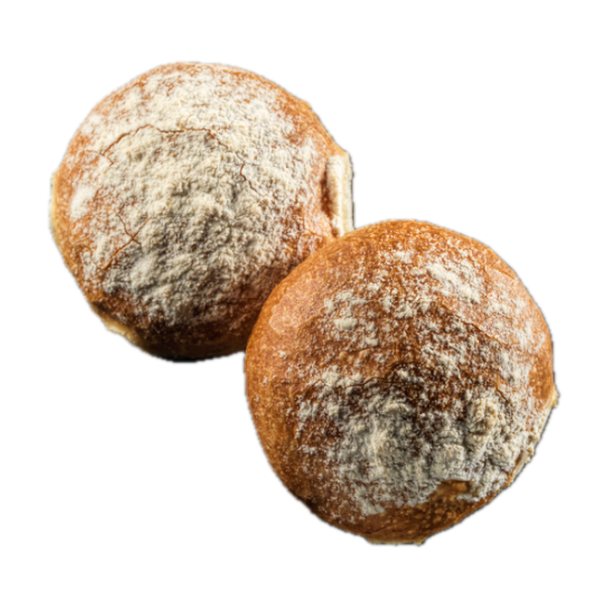 Surdejsbolle