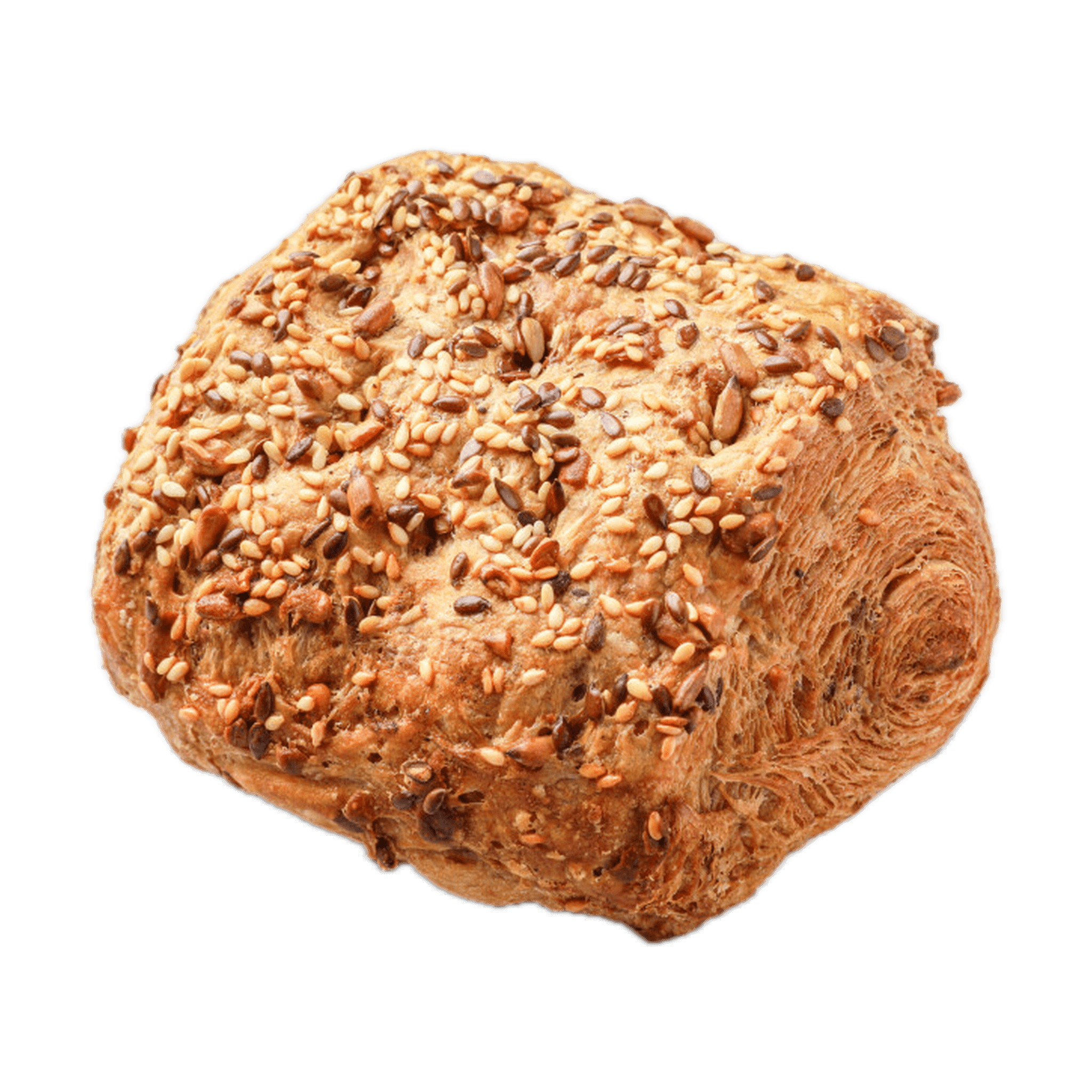 Grovbirkes