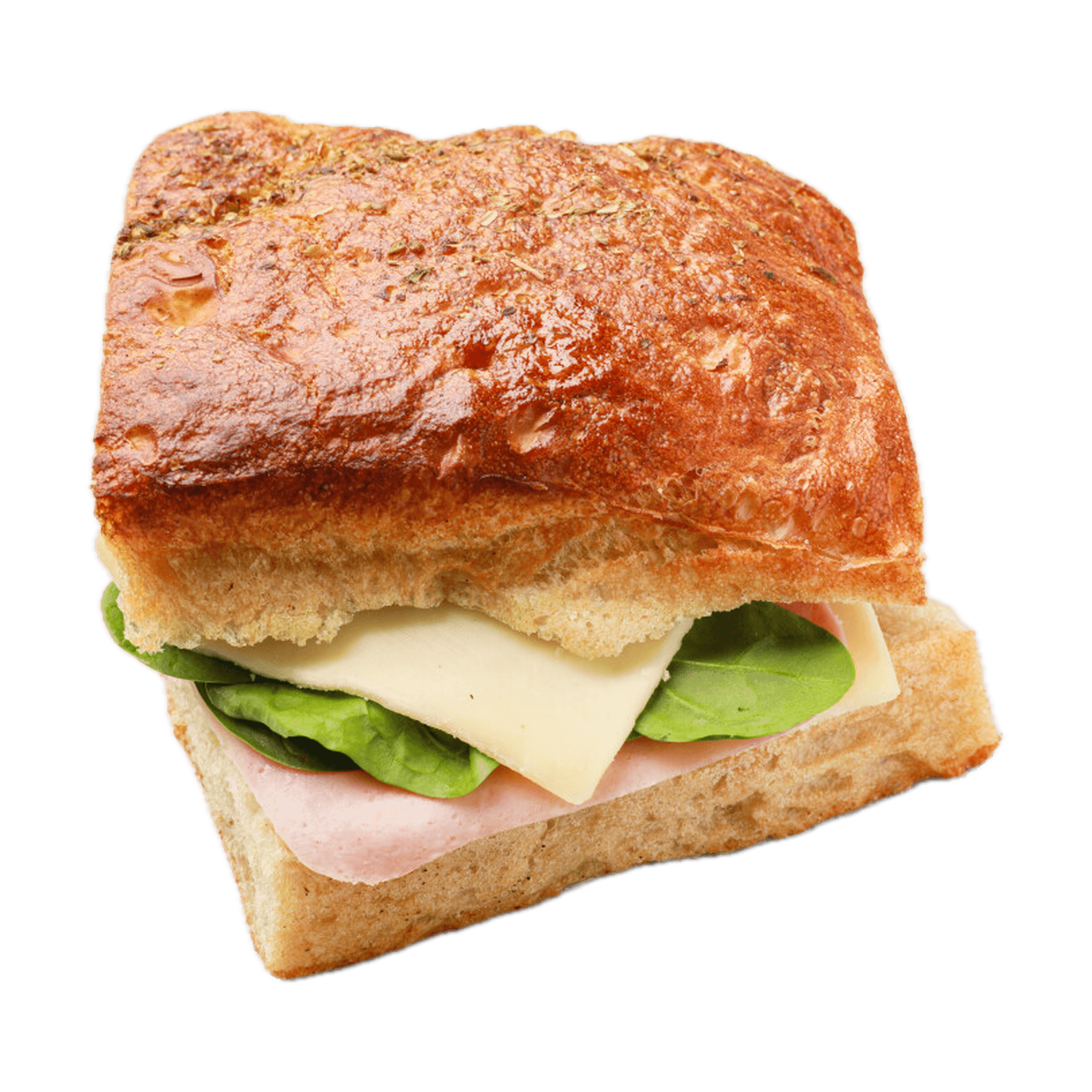 Panini