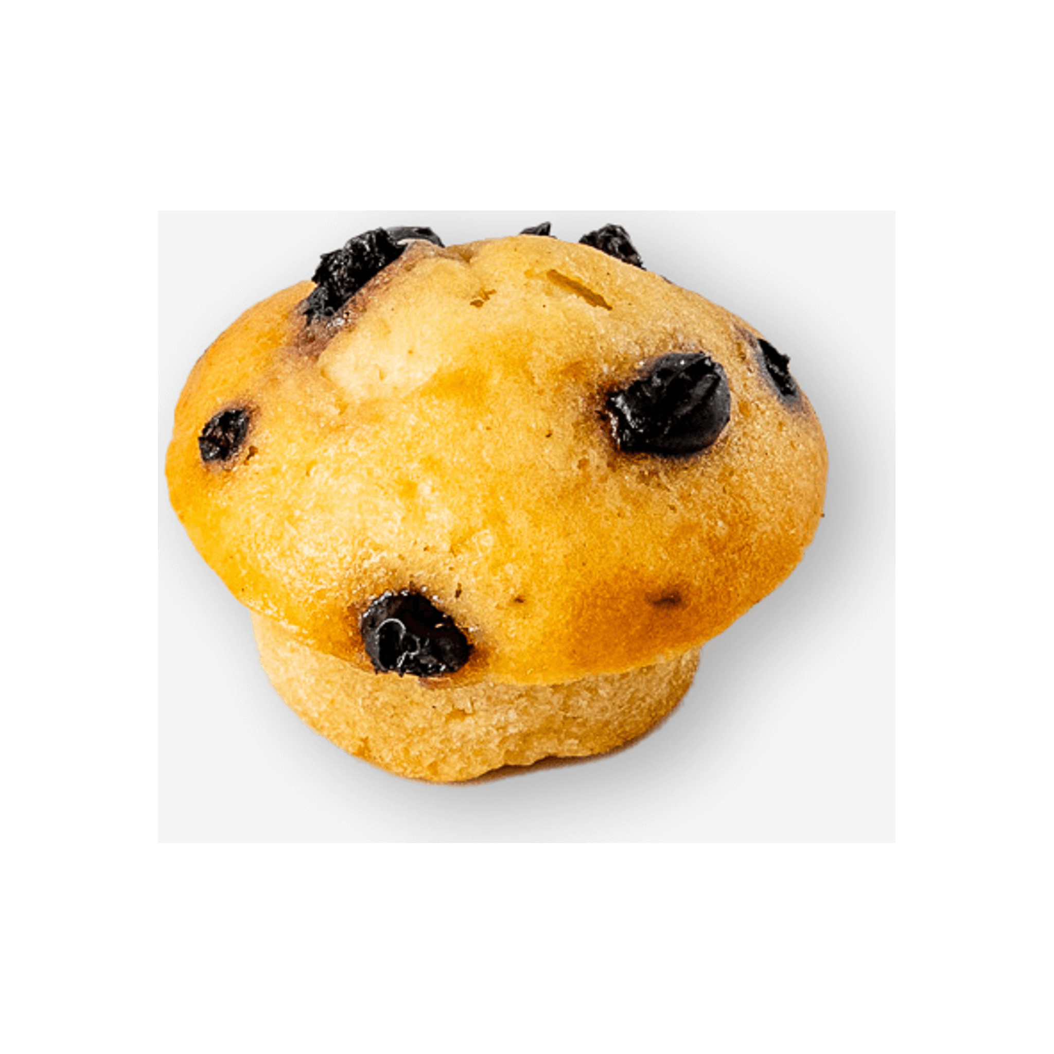 Mini muffin m. blåbær